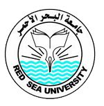 Red Sea University