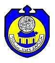 Sinnar University